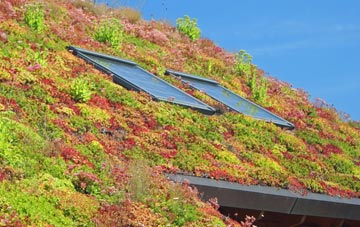 Mottram In Longdendale living roof systems